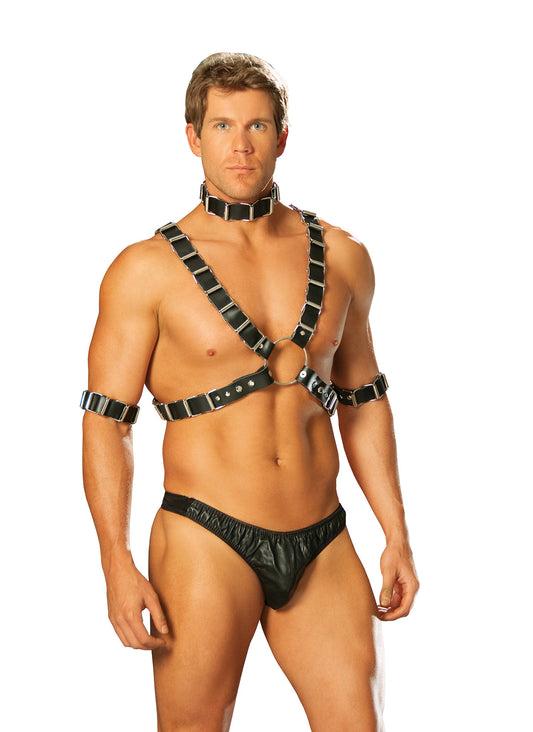 Men's 4 piece adjustable harness. Set includes leather harness, arm bands and collar. 